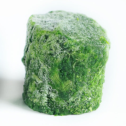 Sprout Cubes